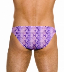 Massimo Micro Brief