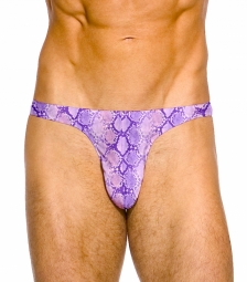 Massimo Narrow Front Brief