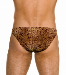 Sparta Micro Brief