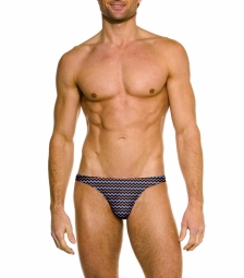 Whistler Micro Brief