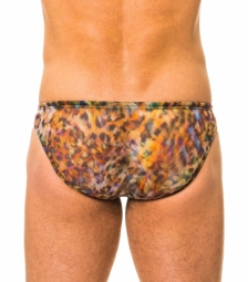 Bonita Tan Through Swim Brief