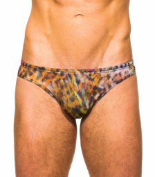 Bonita Tan Through Swim Brief