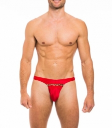 Dingo brief rood