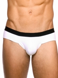 Blake Brief