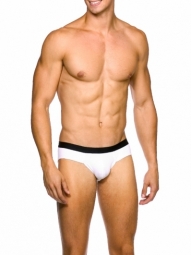 Blake Brief