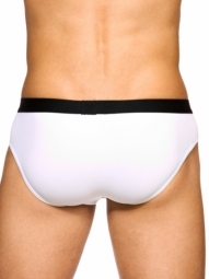 Blake Brief