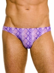 Massimo Micro Brief