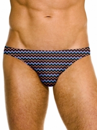 Whistler Micro Brief