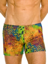 Amalfi Mens Tan Through Swim Shorts