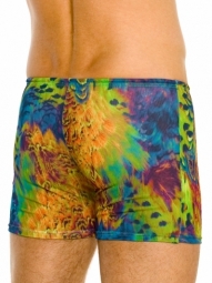 Amalfi Mens Tan Through Swim Shorts