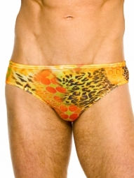 Tropic Deep Waist Tan Through Swimbrief