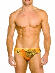 Tropic Deep Waist Tan Through Swimbrief