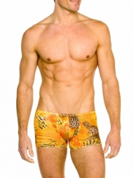 Tropic Tan Through Swim Hipster