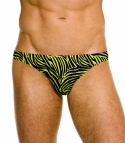 Jagger Micro Brief