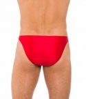 Dingo brief rood